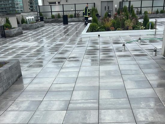 WhatsApp Image 2025-11-12 at 2.11.40 PM